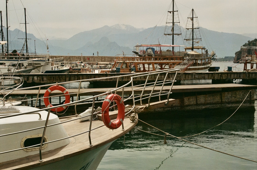Beyond the Dock: How Marina Management Software Powers More Profitable Marine Operations